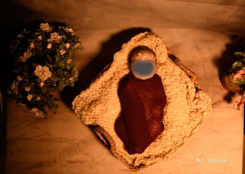 Nest